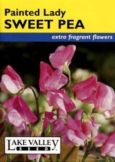 Lake Valley 1220 Sweet Pea Old Spice Painted Lady Heirloom Seed Packet: Patio, Lawn & Garden