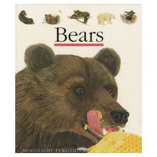 Bears (First Discovery S): Laura Bour: 9781851031450:  Children's Books