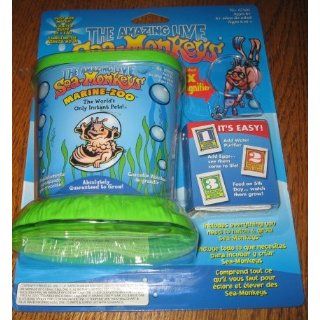 The Amazing Live Sea Monkeys Marine Zoo Blister Pack by Big Time Toys: Toys & Games