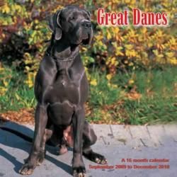 Great Danes 2010 Calendar General