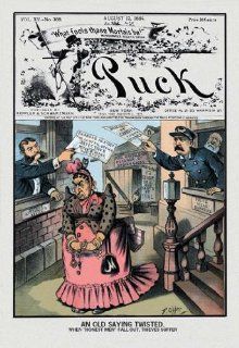 Puck Magazine An Old Saying Twisted 20x30 poster  Prints  