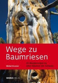 Wege zu Baumriesen: 20 Rundwanderungen zu alten Bumen der Schweiz: Michel Brunner: Bücher