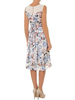 Dorothy Perkins All about rose midi fit and flare dress Multi Coloured