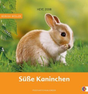 Kaninchen Postkartenkalender 2008: Bücher