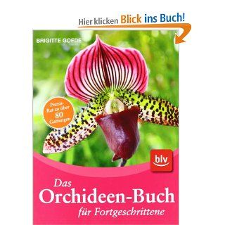 Das Orchideen Buch fr Fortgeschrittene: Brigitte Goede: Bücher