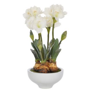 House of Silk Flowers Inc. Artificial Amaryllis in Pot