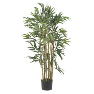 Multi Bambusa Bamboo Tree in Planter by Nearly Natural