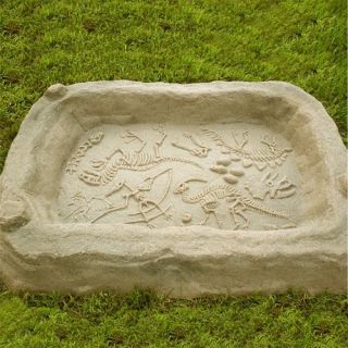 Kidwise Digasaurus Activity Sandbox   Dinosaur Excavation Activity   Sandboxes