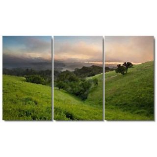 Studio Works Modern 'Rolling Hills at Daybreak' 3 panel Fine Art Gallery Wrapped Canvas Set 42x72