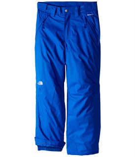 The North Face Kids Freedom Insulated Pants Little Kids Big Kids Monster Blue