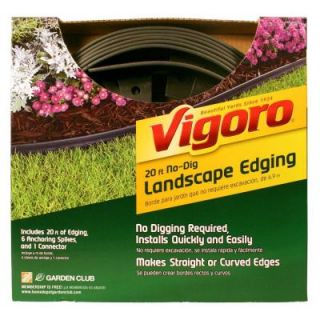 Vigoro 20 ft. No Dig Landscape Edging Kit 3001 20HD