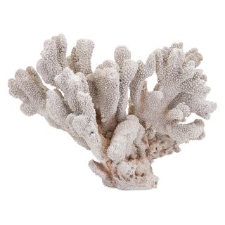 Pavaka Coral   Sculptures & Figurines