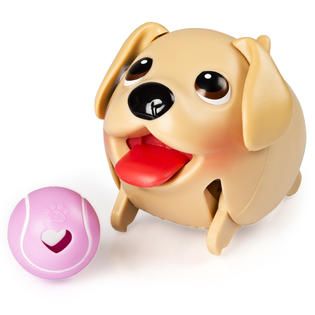 Chubby Puppies Single Pack   Golden Retriever   Toys & Games   Dolls