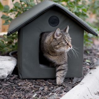 Outdoor Heated Kitty House   Shopping   The Best Prices