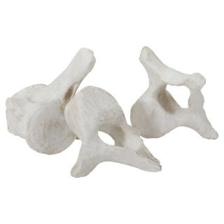Set of 3 Decorative Antique White Whale Bones