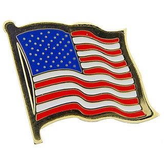 United States Flag With Bald Eagle Pin   17218681  