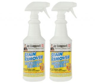 Set of 2 Professional Stain Remover Liquids byCampanelli —