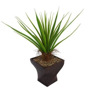 Laura Ashley 54 inch Tall Agave Plant with Cocoa Skin in Fiberstone