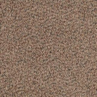Shakedown   Color Soft Suede 12 ft. Carpet 0354D 22 12