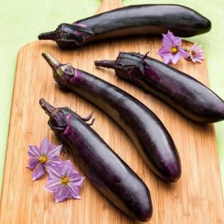 Bonnie Plants 4.5 in. Ichiban Eggplant 148