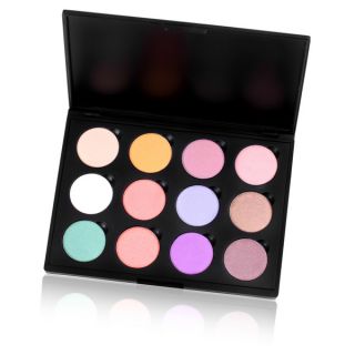 Shany Summerly 12 Color Eyeshadow Palette   Shopping   Big