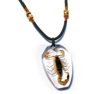 Ed Speldy East PSB1101 Real Bug Necklace Scorpion