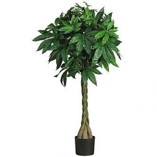Nearly Natural 51 in Money Silk Tree   Home   Home Decor   Decorative