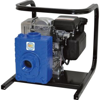 IPT Cast Iron Self-Priming Ag/Water Pump — 2in. Ports, 127cc Briggs & Stratton 550 Series Engine, Model# 2AG4ACV  Engine Driven Clear Water Pumps