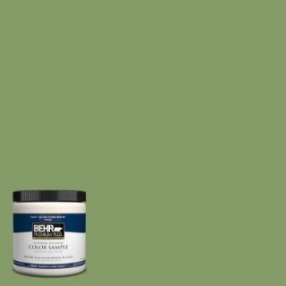 BEHR Premium Plus 8 oz. #M370 5 Agave Plant Interior/Exterior Paint Sample PP10316