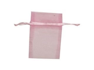 Baby Pink X small (3 x 4) Sheer Bag   sold individually