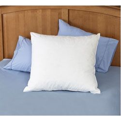 Natural Euro Square Pillows (Set of 2)   10077301   Shopping