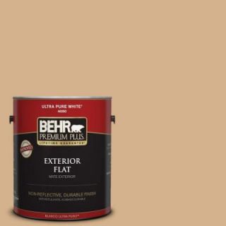 BEHR Premium Plus 1 gal. #S290 4 Summerwood Flat Exterior Paint 440001