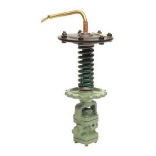 Spence Engineering Size 1/4" Steam Pilot, Temperature, Cast Iron Body with Bronze Bulb and Armored, P T14 C1S1CA11