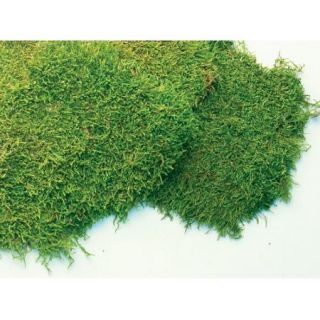 Super Moss 21512 8 Oz Preserved Sheet Moss