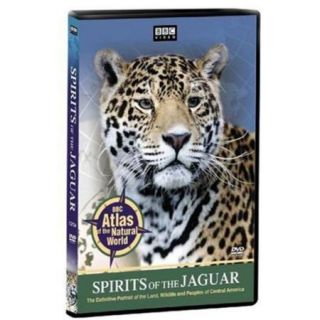 Spirits Of The Jaguar