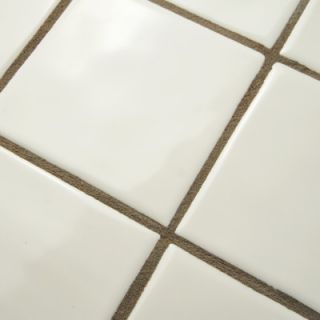 EliteTile Contour Square 3.75 x 3.75 Ceramic Field Tile in Off White