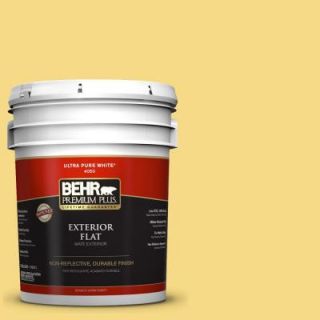 BEHR Premium Plus 5 gal. #390B 5 Bee Pollen Flat Exterior Paint 440005