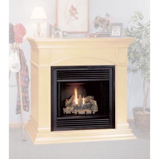 Comfort Flame Natural Gas Fireplace — 32in., Model# CGDV32NR