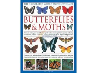The Illustrated World Encyclopedia of Butterflies & Moths
