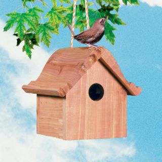 Wren Wild Bird House
