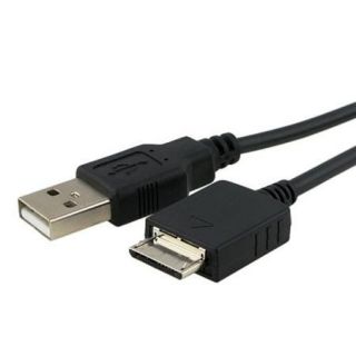 Insten 2 Usb Data Charger Cable Cord For Sony Walkman MP3 Player NWZ E436F E438F E435F A726 A728 A815 S638 S716 S736