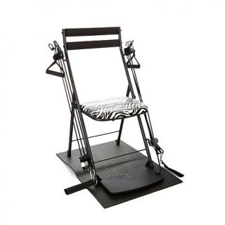 Chair Gym Deluxe Exercise System with Twister Seat, Mat and 5 Workout DVDs   Zebra   7972187