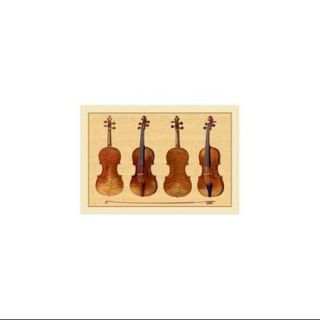 Violins Print (Black Framed Poster Print 20x30)