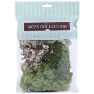 Variety Pack Moss 108.5 Cubic Inches