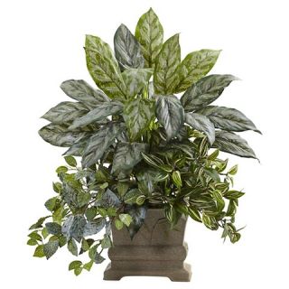 Mixed Greenery  Silver Queen, Wandering Jew and Fittonia with Planter