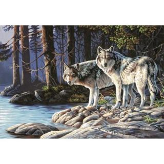 Paint By Number Kit 20"X14" Gray Wolves