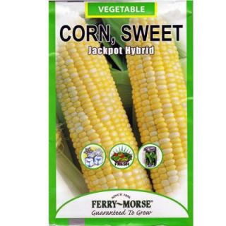 Ferry Morse Corn Sweet Jackpot Hybrid Seed 8590