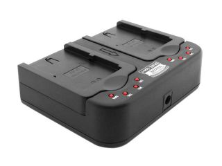 Accessory Power CH DUALION LPE6 Professional Series ReVIVE DUAL ion+ Camera Battery Charger for LPE6